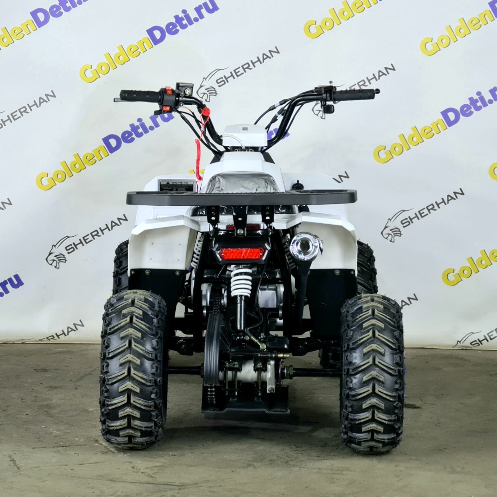 Квадроцикл MotoLand 110 EAGLE