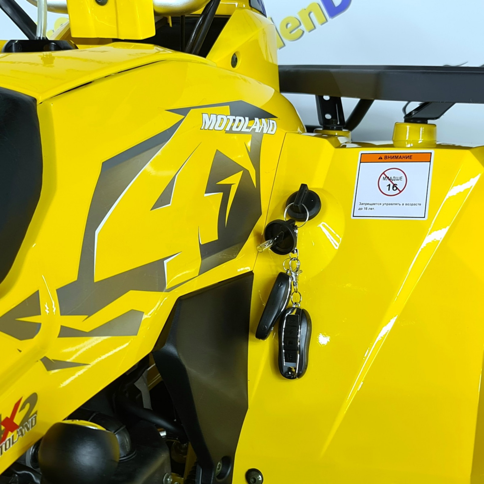 Квадроцикл MotoLand 200 WILD TRACK X 2022 года