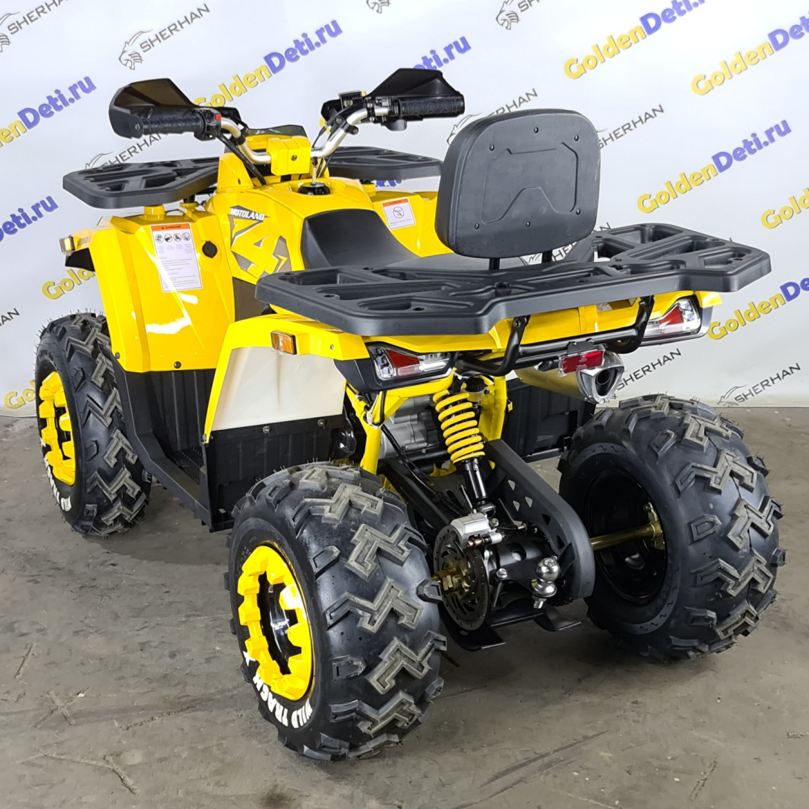 Квадроцикл MotoLand 200 WILD TRACK X 2023 года