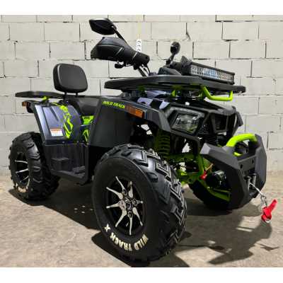 Квадроцикл MotoLand 200 WILD TRACK X PRO 2024 года