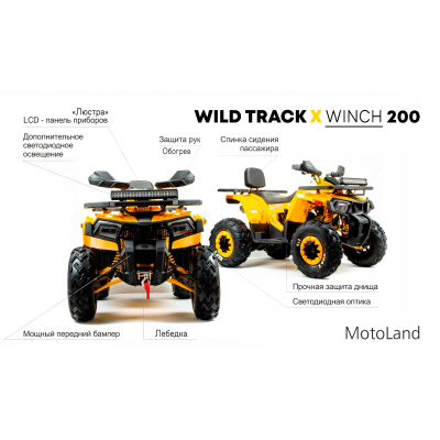 Квадроцикл MotoLand 200 WILD TRACK X WINCH 2023 года